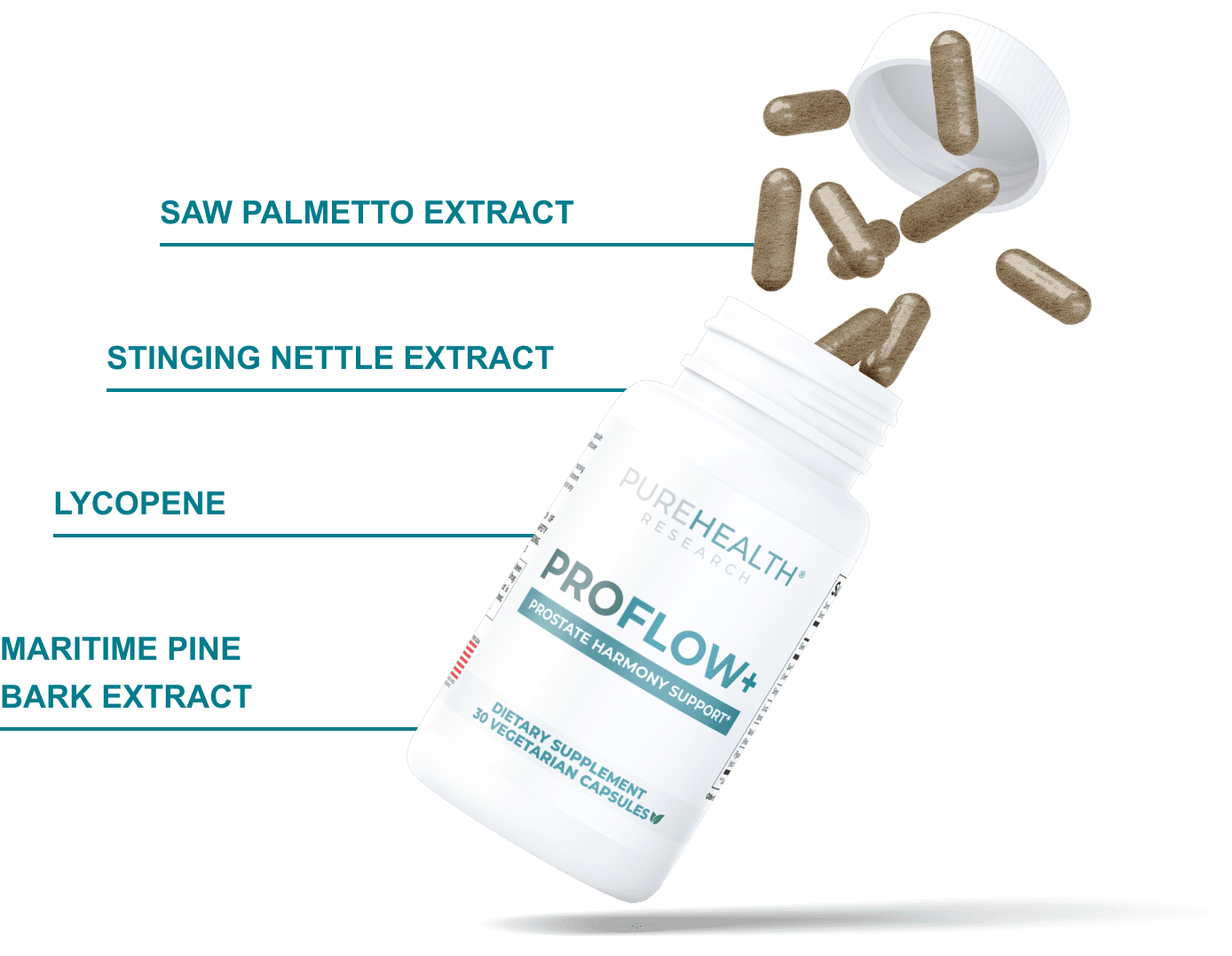 ingredients + bottle
